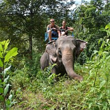 Synd att djurh&aring;llningen i thailand inte h&aring;ller s. Foto: Guiden. &Aring;kare: Jag och &Aring;sa.