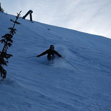 Foto: Johan Sk&ouml;ld. &Aring;kare: Sofia Sk&ouml;ld.
