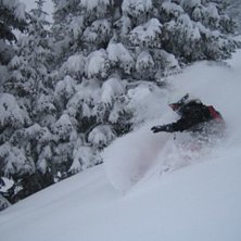 Foto: Maria Carrick. &Aring;kare: Cilla Kjellberg.