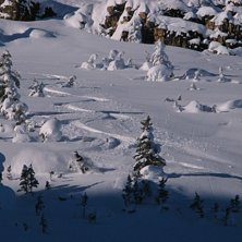 Ny&aring;rsafton. Kallt. L&auml;tt. Vi &auml;lskade Jay. Sen dr. Foto: Olle Sj&ouml;lin. &Aring;kare: Jay.
