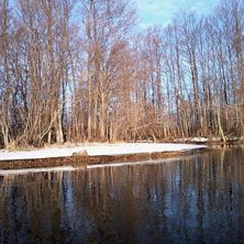 Foto: ian Archibald.