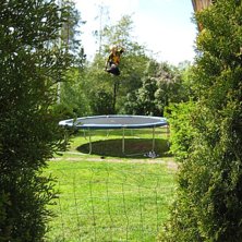 coolbild bara!. Foto: David L. &Aring;kare: Mange.