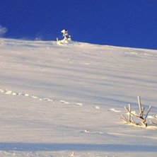 h&aring;rd vind + h&aring;rt underlag = bra bild.. Foto: jakob wallin. &Aring;kare: jesper wallin.
