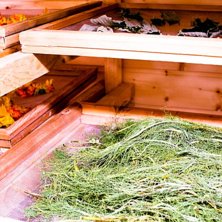 Foto: Christine Hargin.