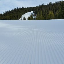 Klart for en ny dag
Vi g&aring;r en str&aring;lende p&aring;ske i.