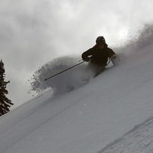 Foto: Erik Pernestam (www.pernestam.se). &Aring;kare: Johan Olofsson.