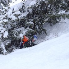 Hmmm, man h&ouml;r vr&aring;let innifr&aring;n skogen, bara att . Foto: Jonas Bj&ouml;rklund. &Aring;kare: Tomas Vujic.