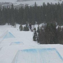 Nosegrab. Foto: Johan Sj&ouml;gren. &Aring;kare: Benjamin.