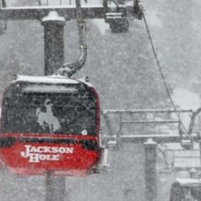 Jackson Hole Foto