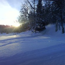 L&aring;t honom leka av sig bara s&aring; ordnar det sig.... Foto: Adrian Fr&ouml;lund (Jag). &Aring;kare: Brorsson.