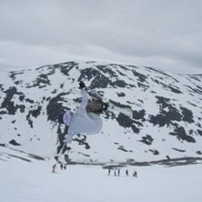 g&ouml;r en misty. Foto: Erik Hedlund. &Aring;kare: Peter Flodin.