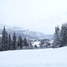 Fine forhold i bakkene
Nysn&oslash; og fine forhold i He.