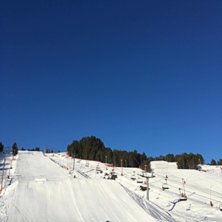 En perfekt skidag!
Str&aring;lende sol, -5 grader, nypr.