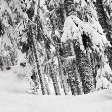 &Aring;ker mycket nysn&ouml; i Khyberskogen!. Foto: Per Nyberg. &Aring;kare: Fredrik Qvennerstedt.