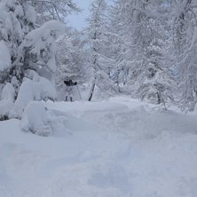 De va ganska bra den dagen. Foto: Kroon. &Aring;kare: Haldemar.