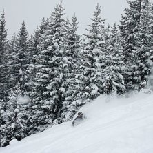 Foto: Henrik D&oslash;vre Jr.. &Aring;kare: Maria D. Thorvik.