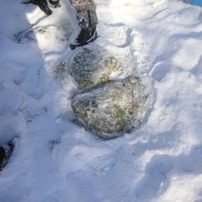 Dom h&auml;r tv&aring; stenarna kn&auml;ckte jag svankskotan p�. Foto: Nealsson.