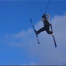 Mooose. Foto: Mattias Nilsson. &Aring;kare: Nicklas Nilsson.