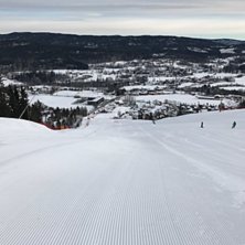 Knallbra forhold
Nest siste dag av ferien og vi ka.