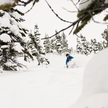 Shreeddd the gnarrrr. Foto: Per Nyberg. &Aring;kare: Emil &amp;quot;Jon Larsson&amp;quot; Davidsson.