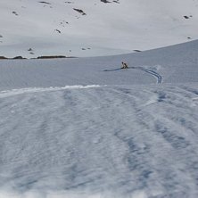 Junisn&ouml; n&auml;r den &auml;r som b&auml;st!. Foto: Oskar &Aring;slund. &Aring;kare: Simon B&ouml;rjars.