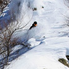 Foto: Petter Berggrund. &Aring;kare: Erik Sunnerheim.