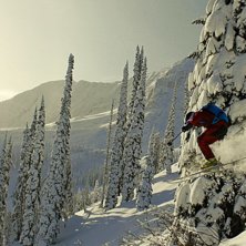 Foto: Filip Angwald. &Aring;kare: Henrik Hermansson.