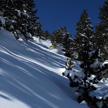 Foto: Lisa. &Aring;kare: Danne.