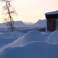 Underbara Bj&ouml;rkliden strax utanf&ouml;r stugan med ru. Foto: Erik Thorsell.