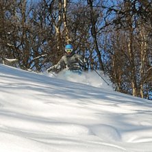 Foto: Johan Olsson. &Aring;kare: Hanna Skogsberg.