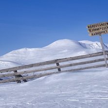 Foto: Patrik Brynielsson.