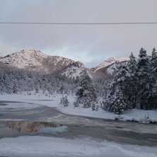 Stengt i dag tirsdag
Trekket er dessverre stengt i.