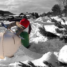 Gyllner; blunt p&aring; glasbanken. Foto: Max Romlin. &Aring;kare: Anders Gyllner.