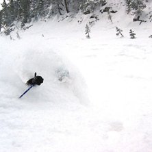 7 Mars 2003. Foto: P&auml;rra Hansson. &Aring;kare: Stefan Ek.