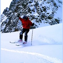 Torrfuraverragokken. Foto: Johan Vall. &Aring;kare: Jens H&auml;ggstr&ouml;m.