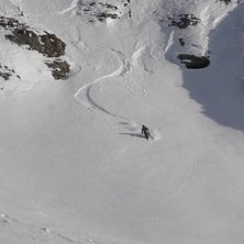 Foto: T. Halen. &Aring;kare: Mange.