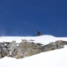 Foto: Kalle Rydberg. &Aring;kare: Anders Olofsson.