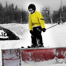 Pimpad jibbare. Foto: Arvid Edenheim.