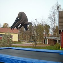 Trucky Truckdriva*. Foto: Ellika persson. &Aring;kare: Fredrik Bergsten.