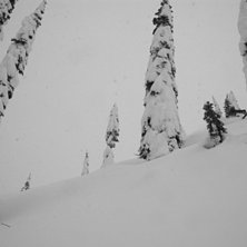 Det &auml;r bra med sn&ouml; i Kanada. 
&Aring;K DIT!!!. Foto: Mats Nystr&ouml;m. &Aring;kare: Eigil.