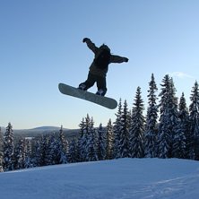 Foto: Enelie Carlsson. &Aring;kare: Lina Carlsson.