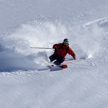 Sk&ouml;na sv&auml;ngar i januari. Foto: Adam Jonsson. &Aring;kare: Robin Ljungqwist.