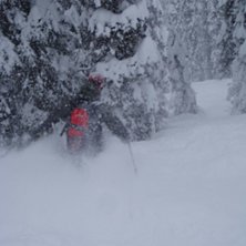 Foto: Stina Stenquist. &Aring;kare: Ulf Nordstrand.