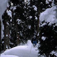 Foto: Andreas Berggren. &Aring;kare: Robert Olsson.