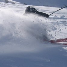 Foto: Danielle Hansson. &Aring;kare: daniel qviberg.