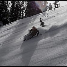 Fastnade lite f&ouml;r eftermiddagsskuggorna i skogen . Foto: Erik Pernestam (www.pernestam.se). &Aring;kare: Johan Olofsson.