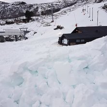 Fredag 16 desember 
Arbeidet med &aring; dose ut kunsts.