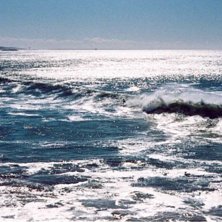 Rikitgt fin, p&aring; Panoramas point n&auml;r fina swell �. Foto: Henrik Tuveson. &Aring;kare: Axel Moberg.