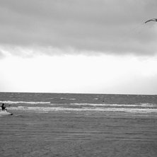 Foto: Ayli. &Aring;kare: Felix Engstr&ouml;m.