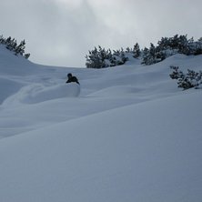 Foto: Herman. &Aring;kare: Christer H&auml;llare.